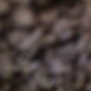 Meet your Posher, Kelsei